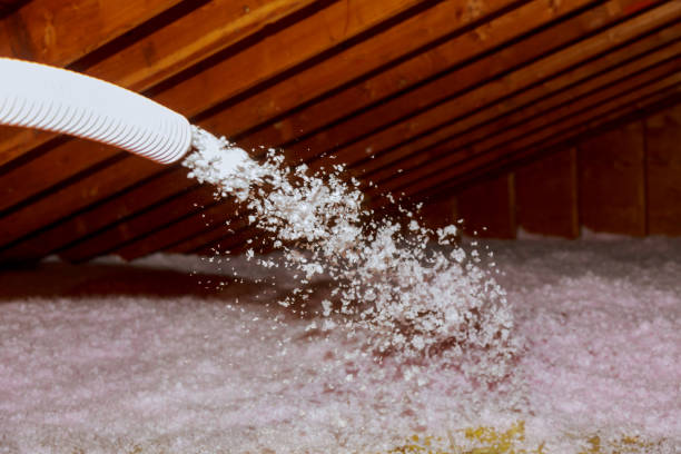 Trusted Marine, IL Insulation Contractor Experts