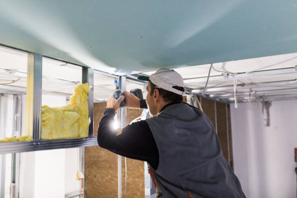Best Insulation for New Construction  in Marine, IL